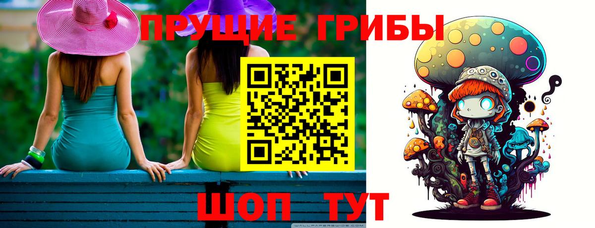 Псилоцибиновые грибы Psilocybine cubensis Воскресенск