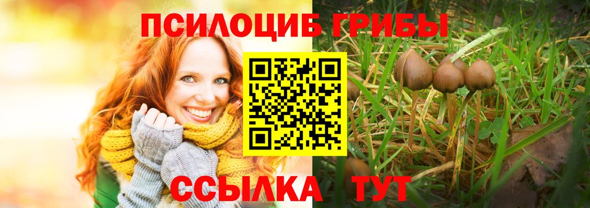 Галлюциногенные грибы GOLDEN TEACHER  Вход с VPN  Галлюциногенные грибы Cubensis  Воскресенск 